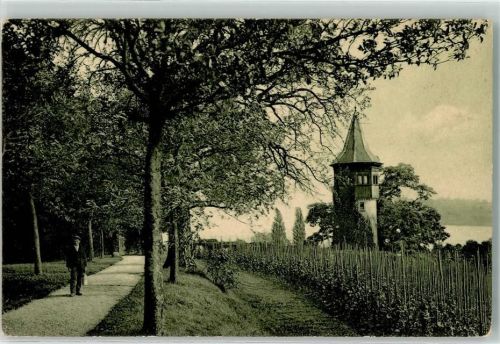 Insel Mainau Schwedenturm Reben