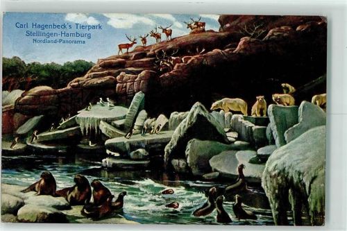 Stellingen 1910 Nordland Panorama Pinguine Eisbären Seelöwen Hirsche