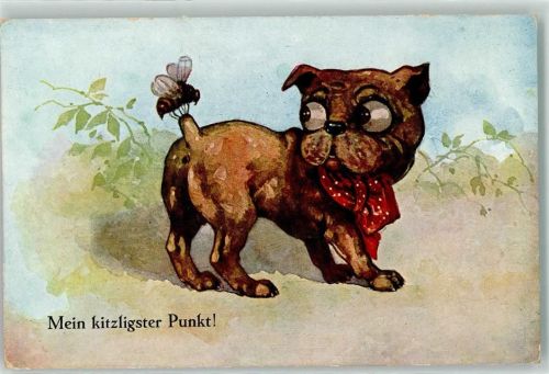 Hund und Schwanz AK