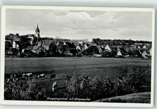 Georgensgmünd Wiesengrund