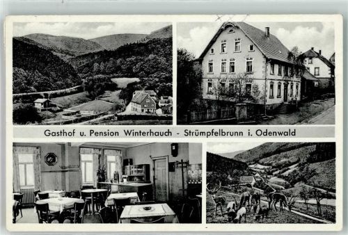 Strümpfelbrunn Gasthaus Winterhauch Gaststube Wildfütterung
