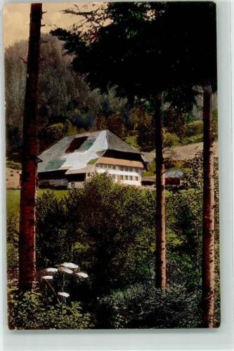 79848 W7823 Glashütte , Schwarzw - Schwarzwaldhaus