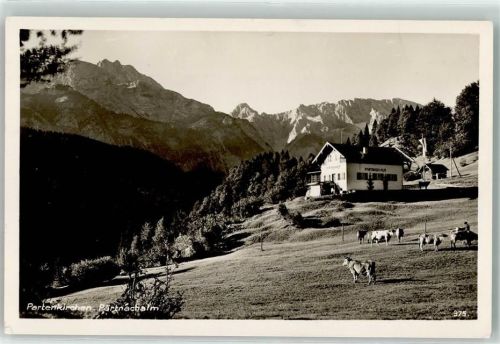 Partenkirchen Partnachalm Kühe Rinder