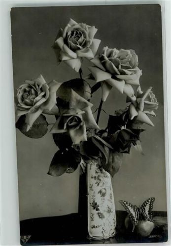 Rosen Schmetterling
