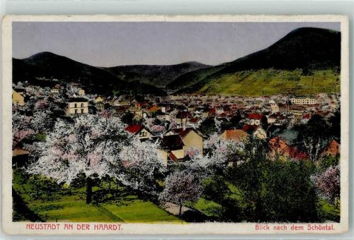 Neustadt Schöntal Baumblüte