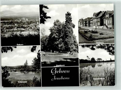 Jesuborn Stadtpark Entenreich Seerosenteich