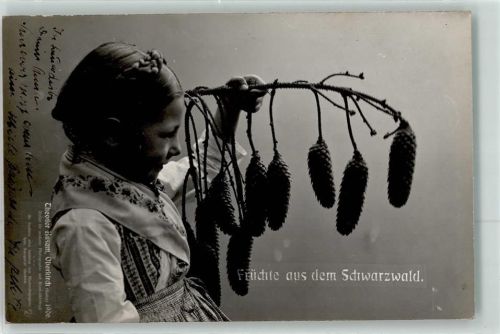 1907 Tannenzapfen Früchte Mädchen Tracht