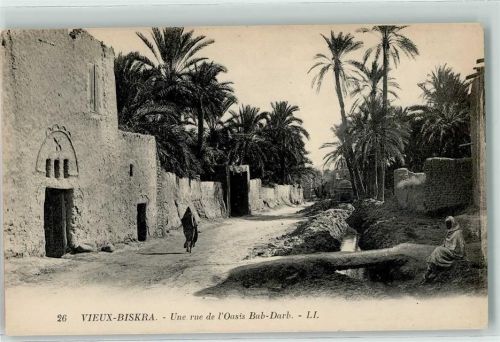 Biskra une rue de l`Oasis Bab-Darb