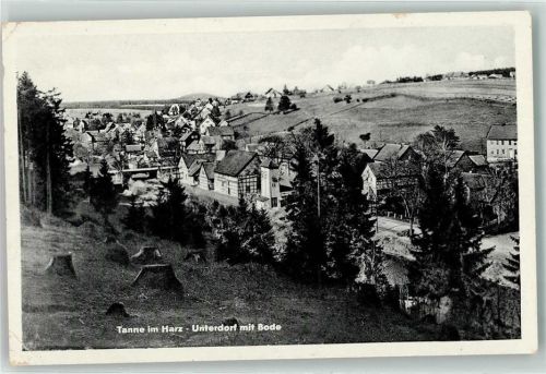 Tanne Unterdorf mit Bode
