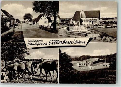 Silberborn Pferde Springbrunnen