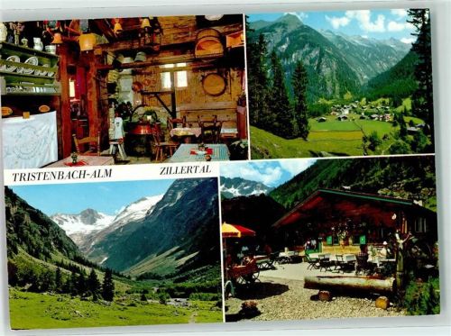 Finkenberg Gasthaus Jausenstation Tristenbachalm
