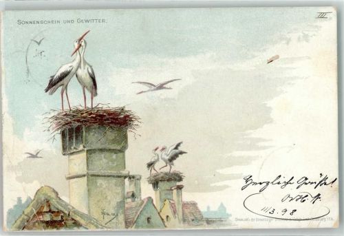 1898 Sonnenschein und Gewitter sign Haas Lithographie/Künstlerkarte