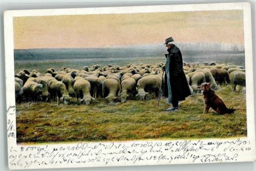 1902 Hirte Hund D.T.C.L Serie 155