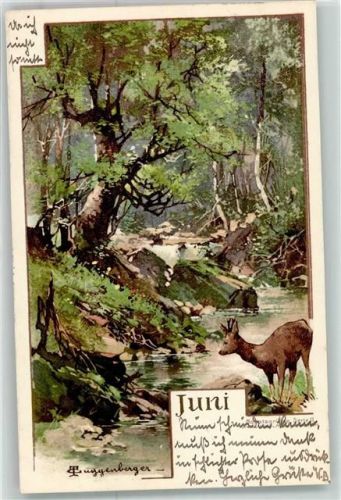 1902 Reh Bach sign.T.Guggenberger