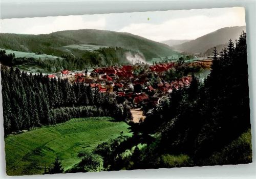 Steinwiesen