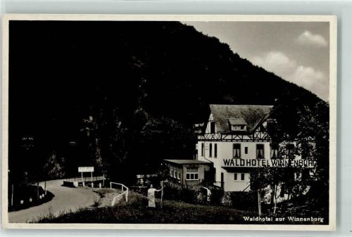 Cochem Hotel zur Winnenburg Bahnpoststempel Zug 217