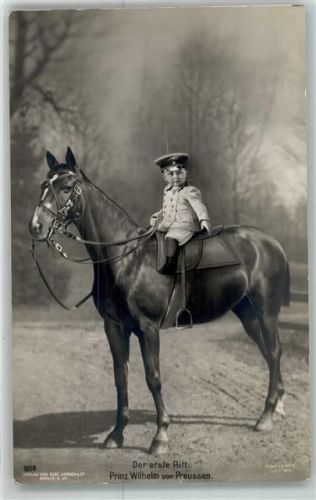 Pferd der erste Ritt