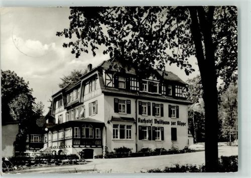 Bad Klosterlausnitz Kurhotel Waldhaus zur Köppe