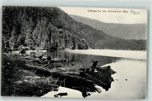 Zelezná Ruda 1908 Schwarzer See
