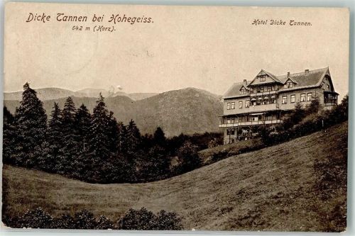 Hohegeiß Hotel Dicke Tannen 642 m Harz