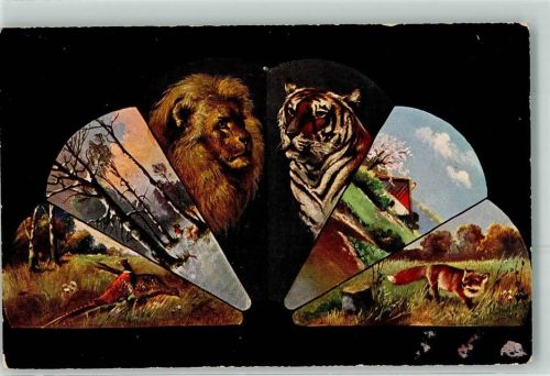 Monate Fasan Tiger Löwe TSN Serie 874