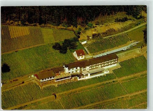 Wasserlos Fliegeraufnahme Hotel Schlossberg