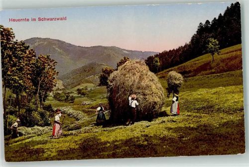 Heuernte im Schwarzwald Nr 3438