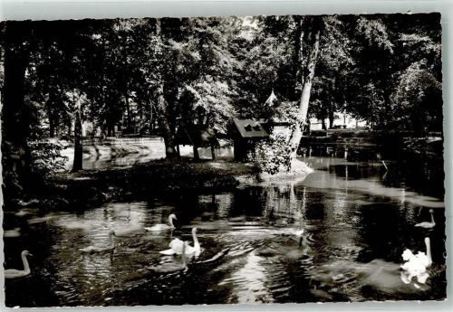 Schwabach Im Stadtpark Schwan