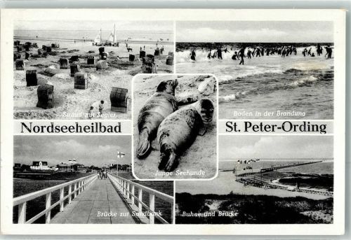 St. Peter-Ording Strand Segler Junge Seehunde Buhae Brücke