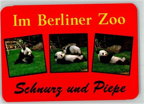 Tiergarten Pandas Schnurz und Piepe