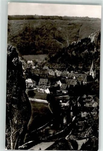 Blaubeuren Kloster mit Wilhelmsfelsen
