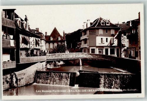 Salies-de-Bearn Pont et Chote du Saleys