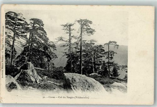 Porta 1909 Col de Vergio Valdeniello