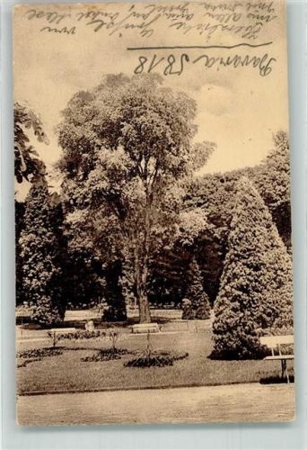 Bad Kudowa 1929 Rosengarten