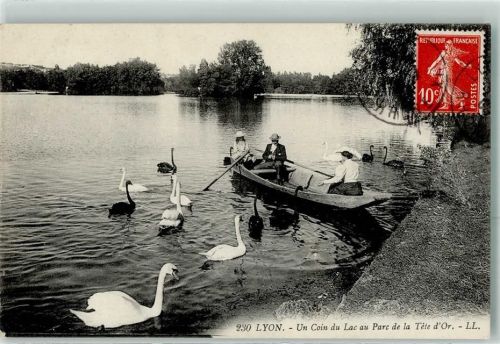 Lyon 1909 un Coin du Lac au Parc de la Tete d`Or Schwan