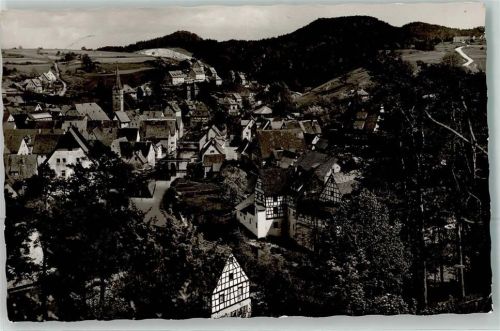 Velden Vogelschau auf Marienkirche und Pegnitz