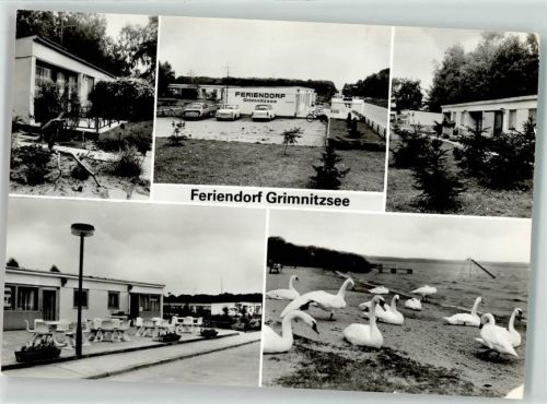 16247 O1304 Joachimsthal Foto AK Feriendorf Grimnitzsee Auto Schwan Fahrrad