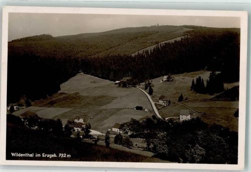 Wildenthal 1939