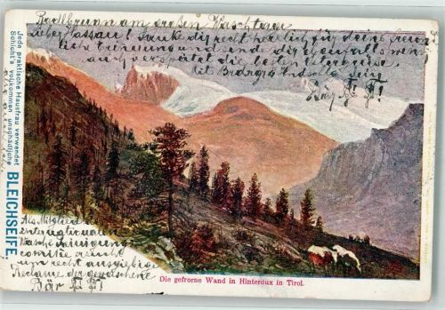 Hintertux die gefrorene in Hinterdux Kühe Schicht`s Bleichseife