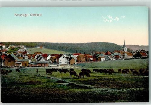 Braunlage Kirche Kuh Herde Oberharz