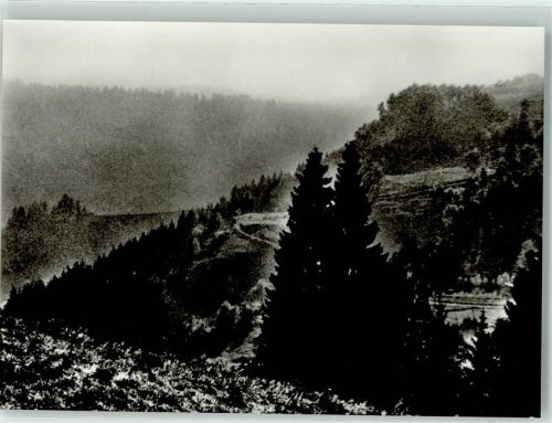 Dachsberg