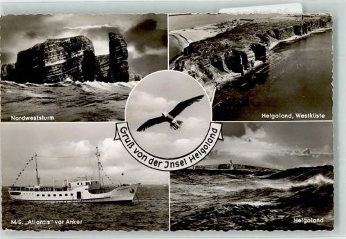 Helgoland M.S. Atlantis Möwe Schöning Foto