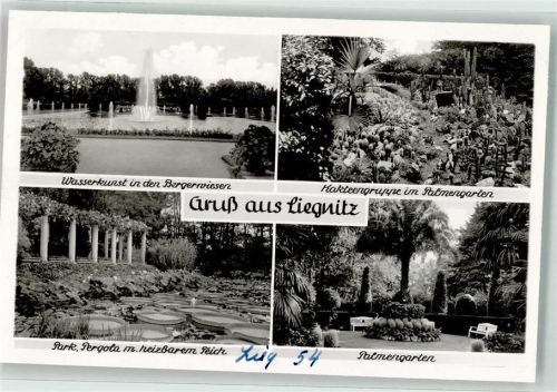 Liegnitz Wasserkunst Bergerwiesen Palmengarten