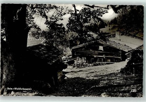 Arnbruck Gasthaus Waldlerbauern Ort lt. Stempel
