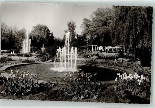 66482 W6660 Zweibrücken , Pfalz Foto AK Rosengarten Metz Foto