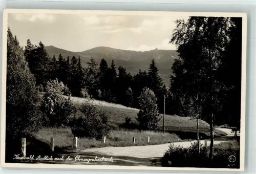 Kiesewald Blick zur Schneegrubenbaude An der Kunststrasse