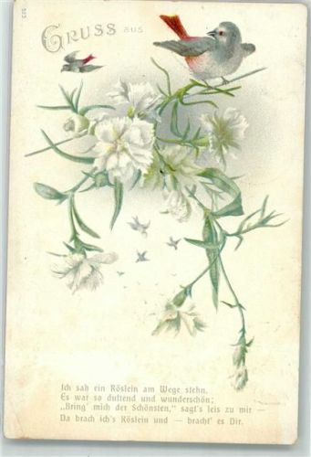 1902 Nelken Spruch Gruss aus