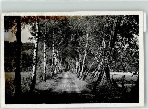 Vluyn Foto Original aus Archiv eines Ansichtskartenverlags Birkenalle z. Schloss Bloemersheim Ort handschriftlich