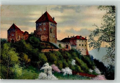 39019 Dorf Tirol Tirolo - Obstblüte Tirol Schloss