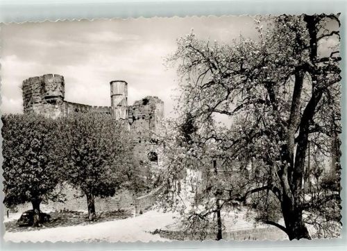 Dilsberg Burg Ruine